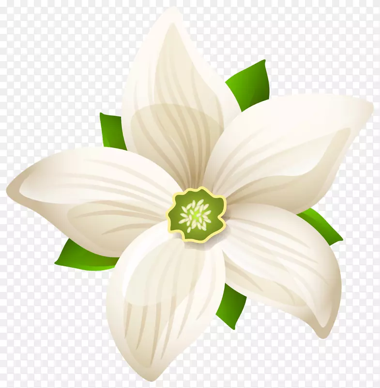 黑白花-大白花透明PNG剪贴画图像