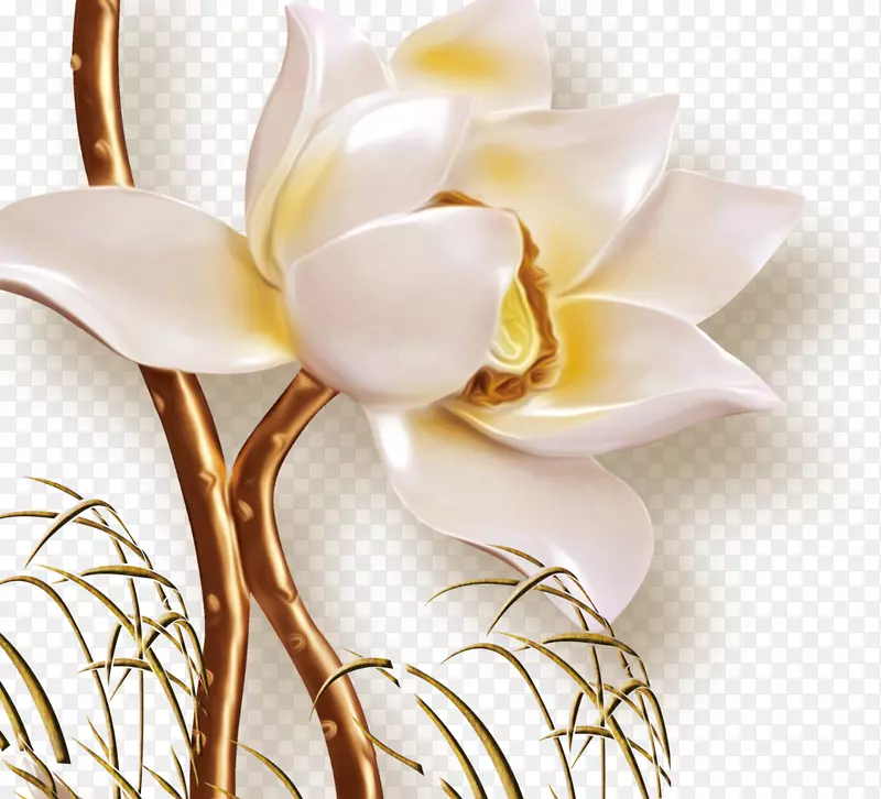 花卉设计-白喉莲花