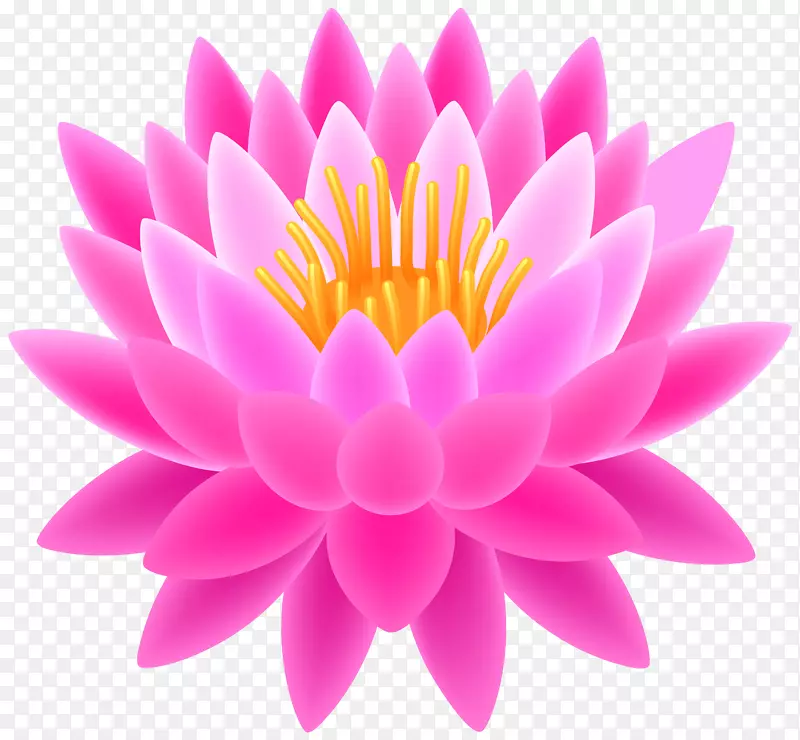 神圣荷花剪贴画-粉红色莲花透明PNG剪贴画图像