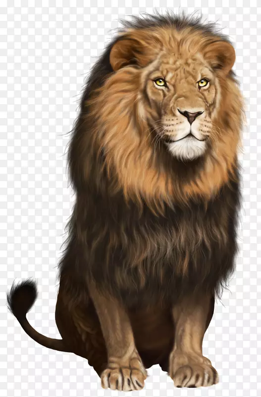 狮子猫剪贴画-狮子PNG