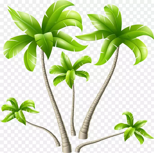 椰子树-手绘卡通橡胶树