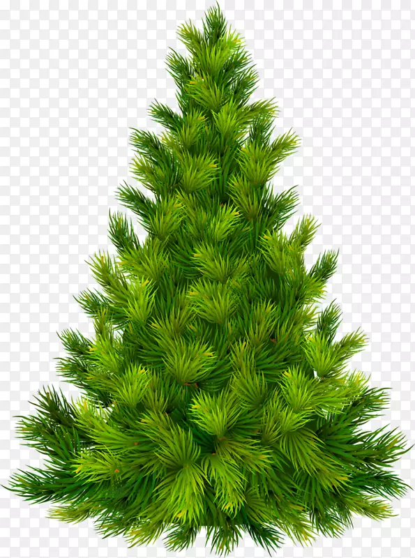 圣诞树装饰剪贴画-绿松树