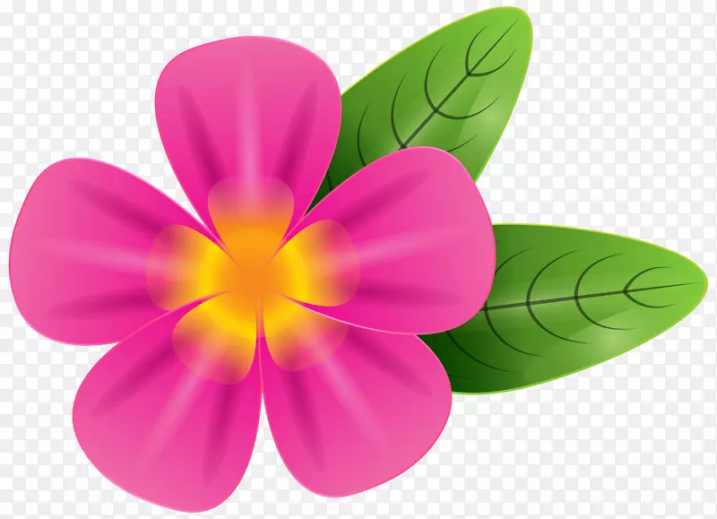 朗吉帕尼摄影剪贴画-粉红热带花PNG剪贴画图片