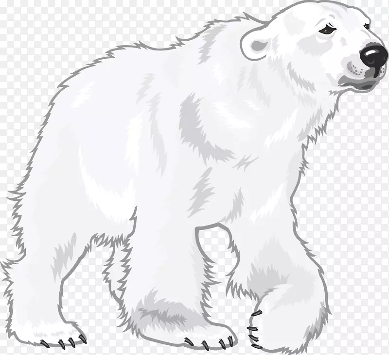 北极熊可爱-北极熊PNG