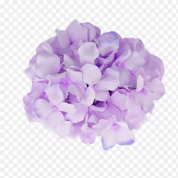 法国绣球花紫色婴儿淋浴-绣球花