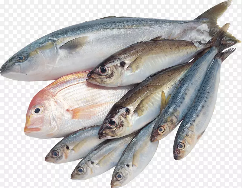 咸水鱼夹艺术-鱼PNG