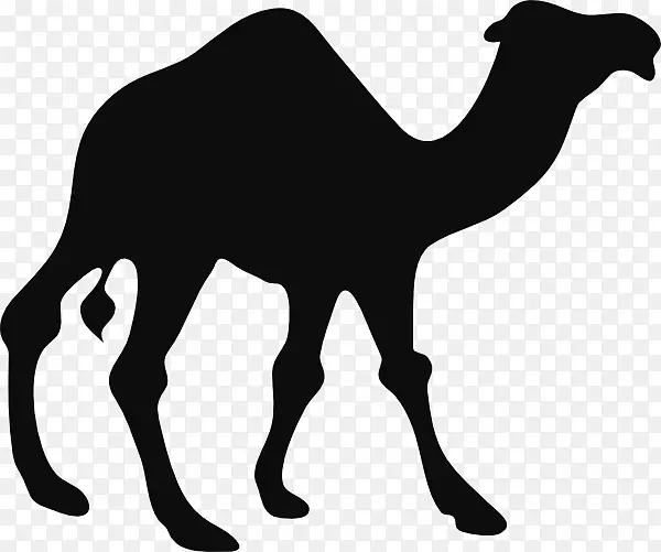 骆驼剪影黑白剪贴画-骆驼PNG