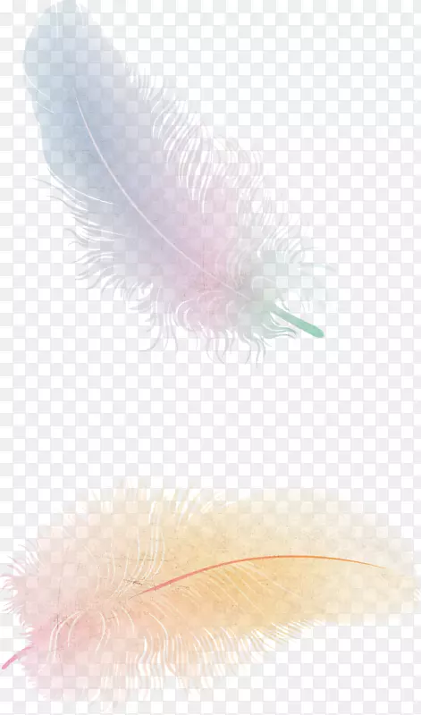 浮动羽毛飞行鸟-羽毛PNG