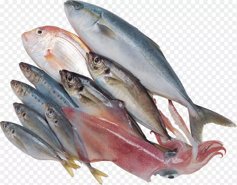 猕猴桃沙丁鱼产品鲭鱼油性鱼-鱼PNG