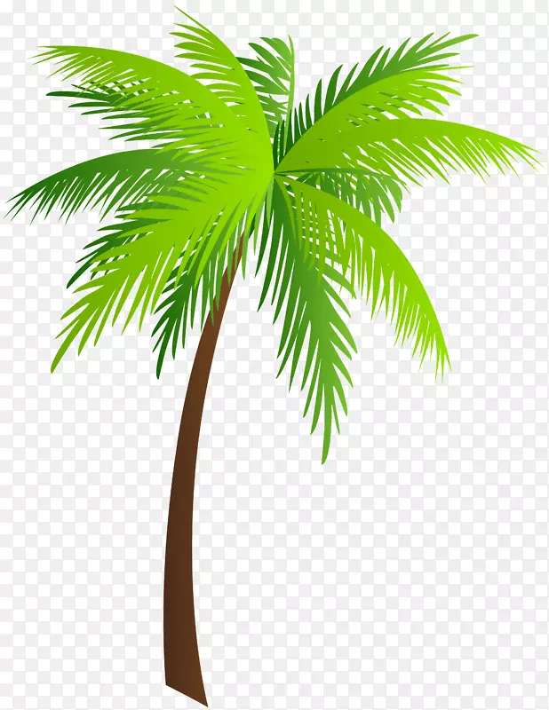 棕榈树亚洲棕榈剪贴画-棕榈剪贴画