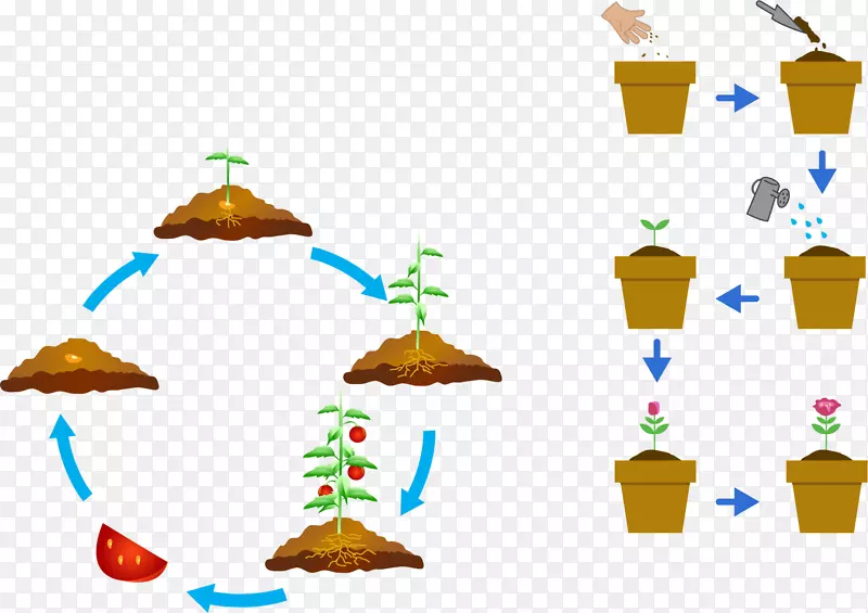 植物发展种子剪辑技术-空气-土壤循环系统