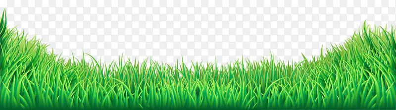 草坪剪贴画-草PNG透明剪贴画图像