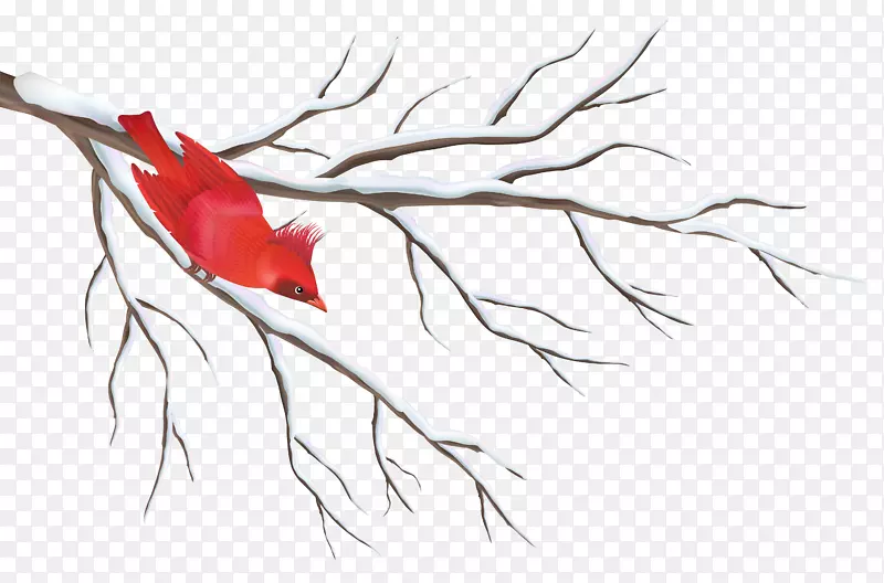 树枝冬季剪贴画-冬季树枝与鸟PNG剪贴画