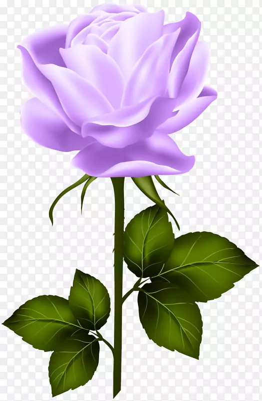 冠花玫瑰剪贴画-紫玫瑰与茎PNG剪贴画