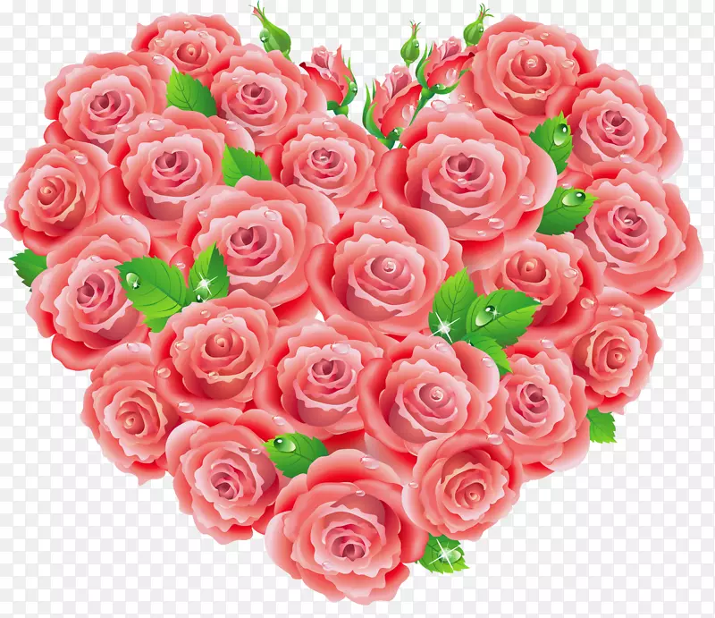 花园玫瑰、蜈蚣玫瑰、花卉图案、粉色切花-红玫瑰心梗