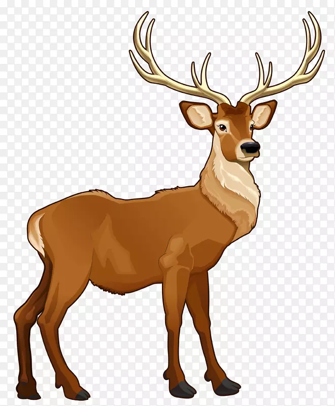 鲁道夫圣诞老人的驯鹿剪贴画-棕色驯鹿PNG剪贴画