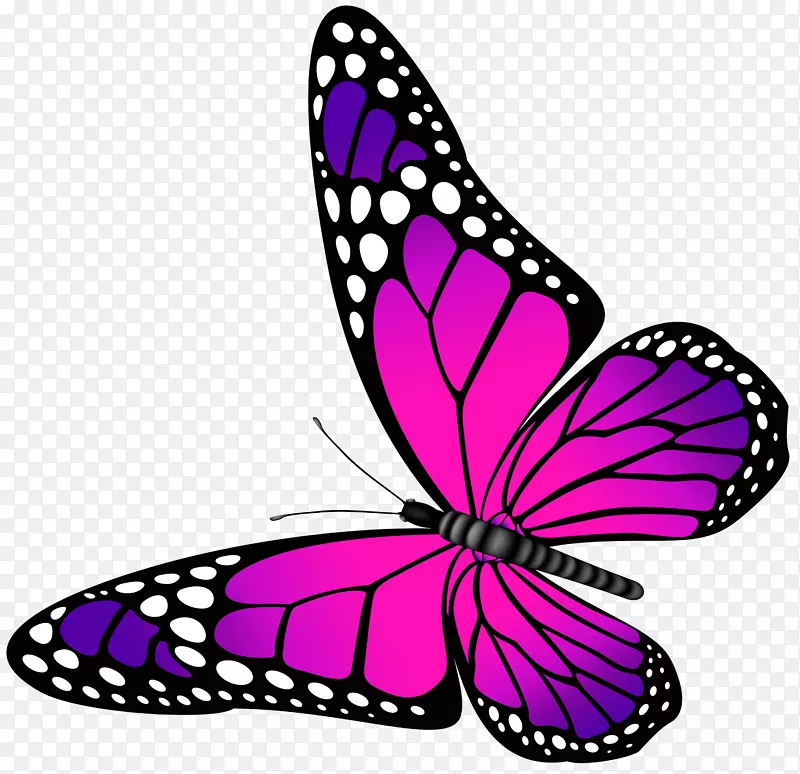 蝴蝶紫色剪贴画-蝴蝶粉红色和紫色透明PNG剪贴画图像