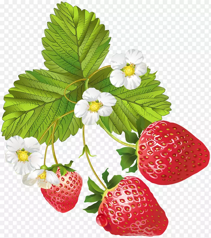 草莓果蒂博斯科剪贴画-开花草莓PNG剪贴画图片