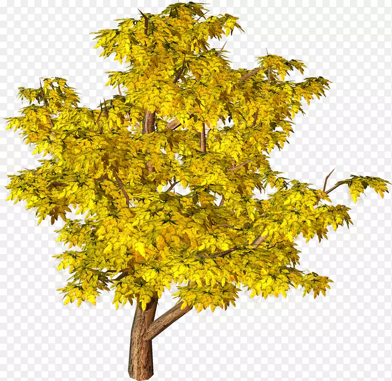 树木黄色剪贴画-黄色秋天树PNG剪贴画