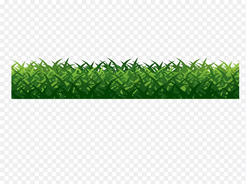 Adobe插画器-绿草