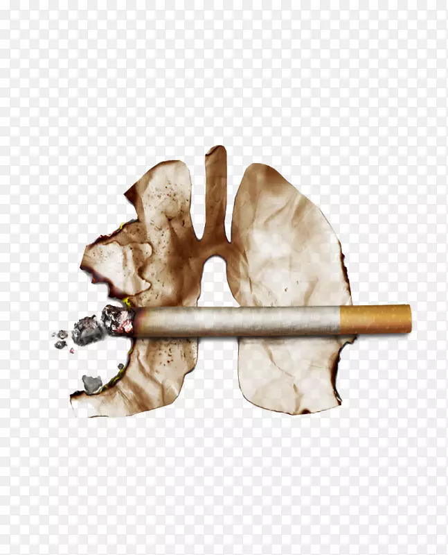 禁烟脂肪肝试验-珍惜生命