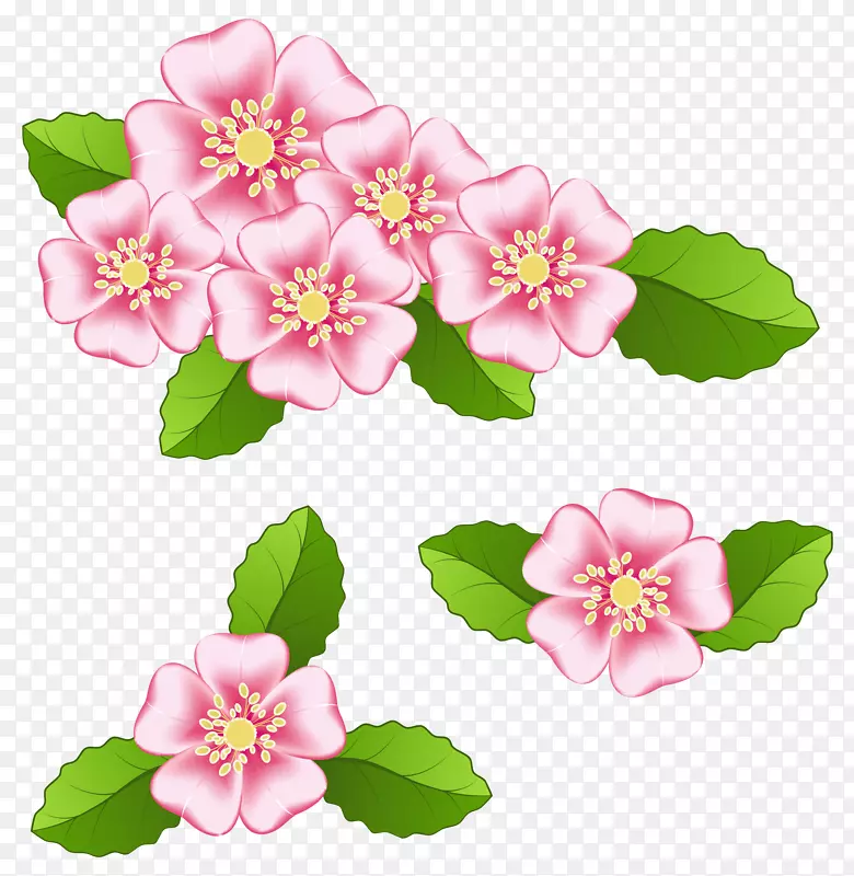图像文件格式光栅图形计算机文件-粉红色花朵透明PNG剪贴画图像