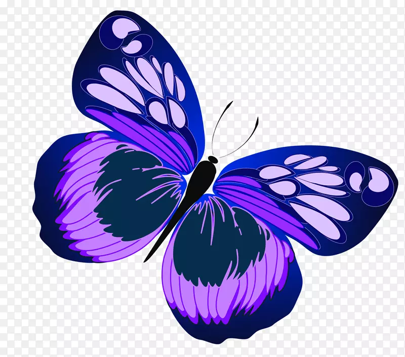 蝴蝶紫色剪贴画-蓝色和紫色蝴蝶PNG剪贴画