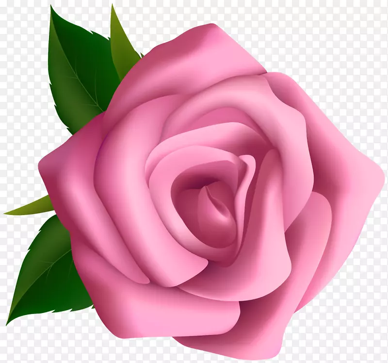 玫瑰粉色插花艺术-软粉色玫瑰剪贴画