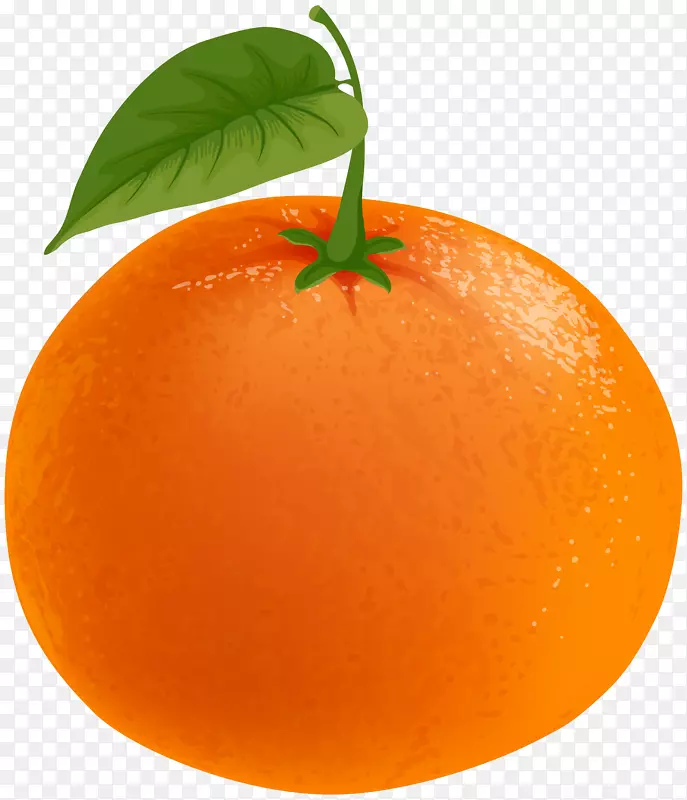克莱门汀橘子柚子橘子透明PNG剪贴画