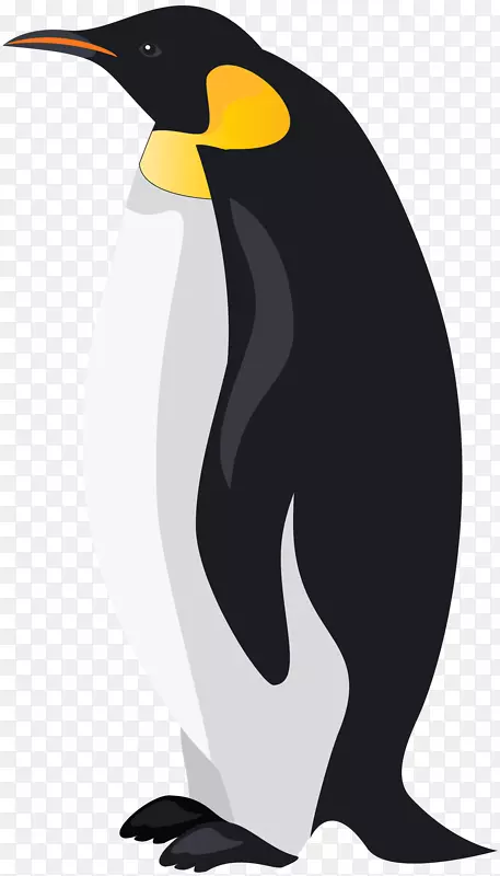 帝企鹅鸟夹艺术-帝企鹅PNG剪贴画形象