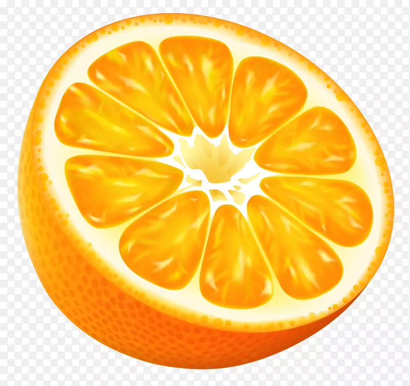 橙汁切花艺术.半橙色PNG剪贴画