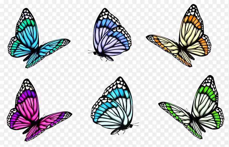 全彩色装饰性蝴蝶插图剪贴画透明蝴蝶套装PNG剪贴画