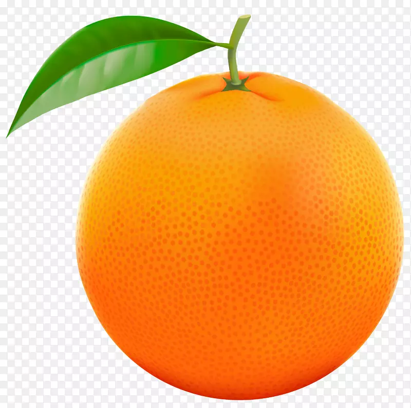柚子橙柠檬剪贴画.红色橙PNG剪贴画