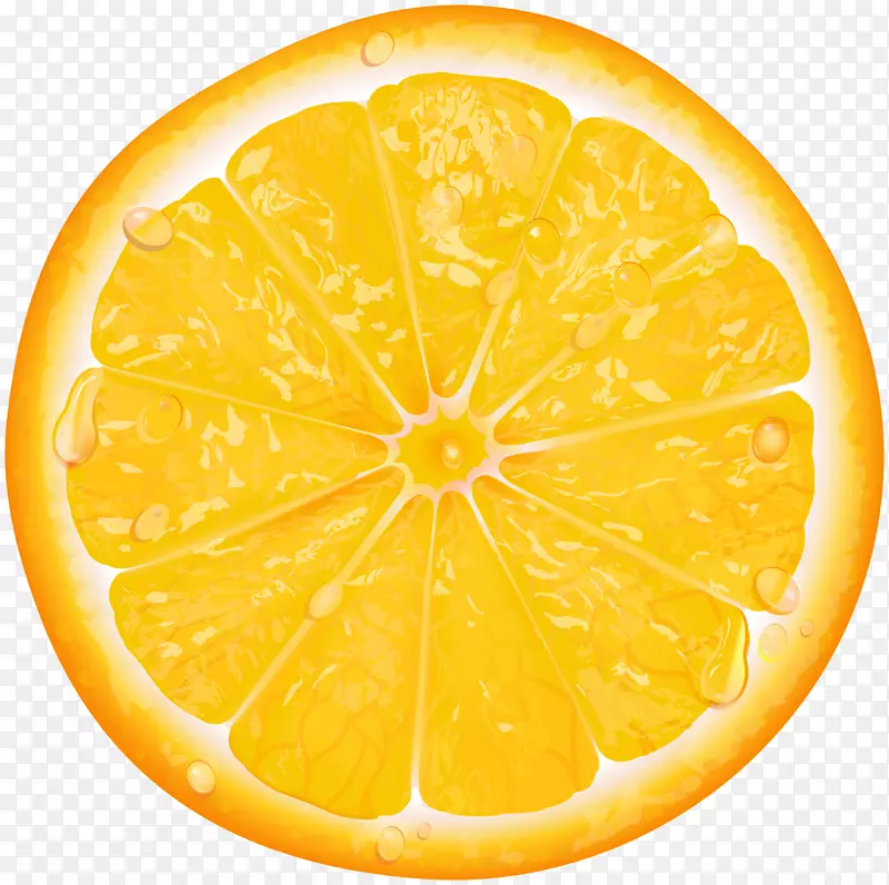 柠檬橙片剪贴画-橙色片透明PNG剪贴画
