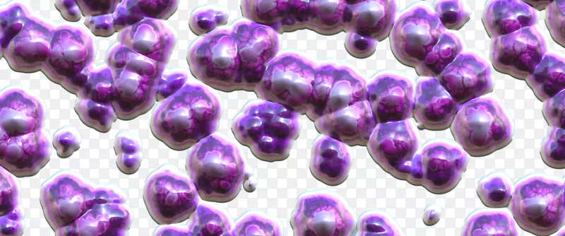 肠道菌群益生菌双歧杆菌紫菌球