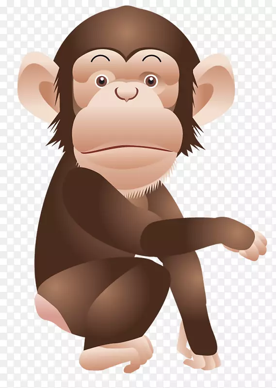 黑猩猩猿类剪贴画-猴子PNG剪贴画