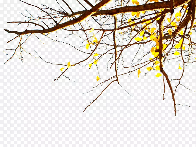 线条图-枯木树秋日