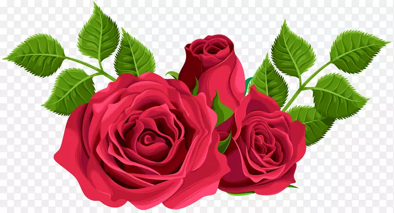 花园玫瑰、蜈蚣玫瑰、剪贴画-红玫瑰装饰性PNG剪贴画形象