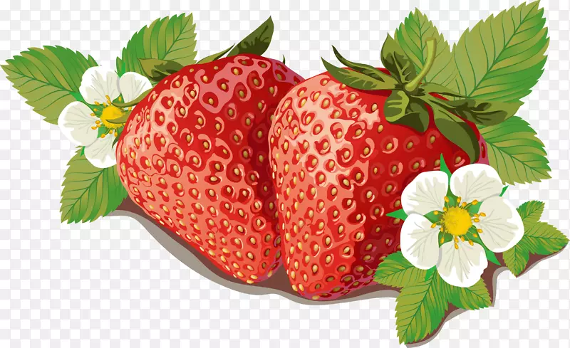 草莓果酱标签模板-草莓载体