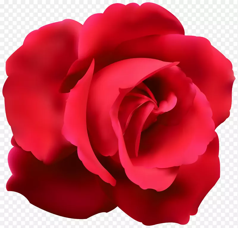 蓝玫瑰插花艺术-红玫瑰剪贴画PNG形象
