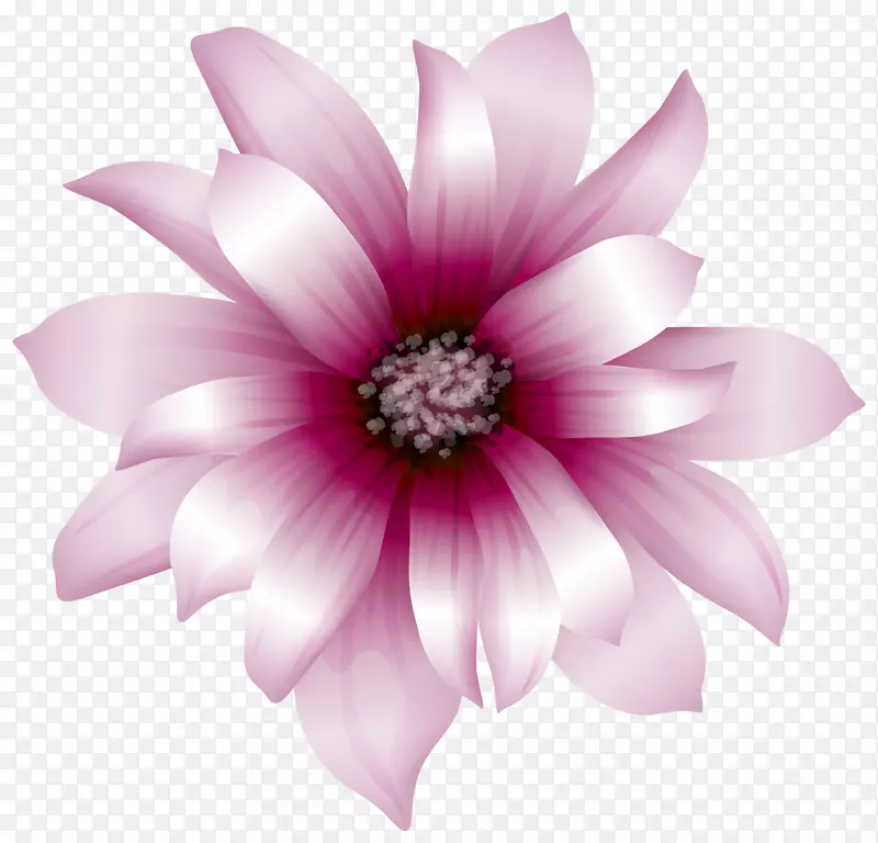 粉色花卉剪贴画-大粉红花透明PNG剪贴画图像