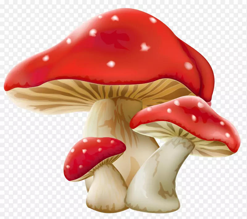蘑菇剪贴画-蘑菇图片