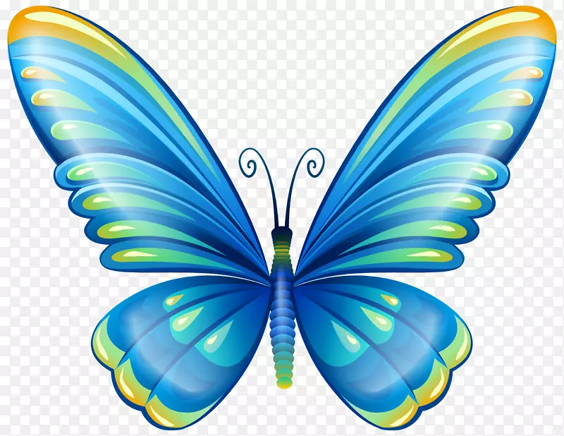蝴蝶剪贴画-大型蓝色蝴蝶剪贴画图片