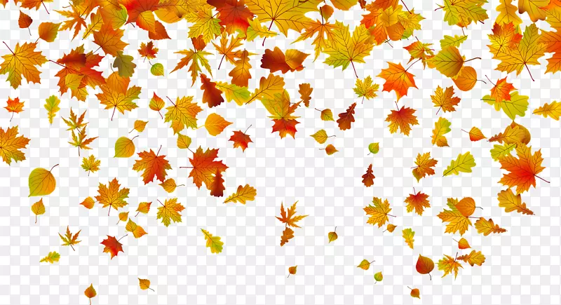 秋叶彩色剪贴画-枯萎的秋叶