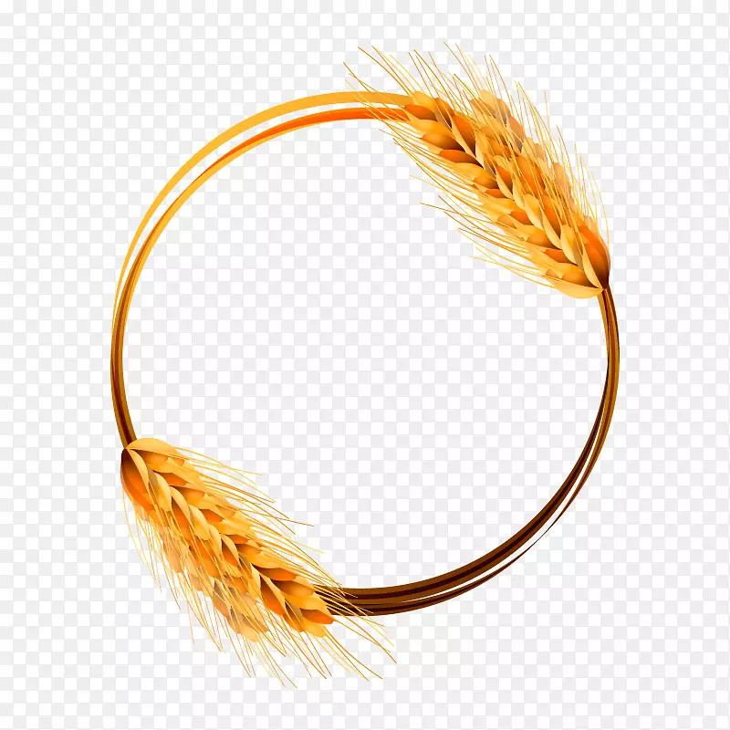 小麦麦穗载体金小麦