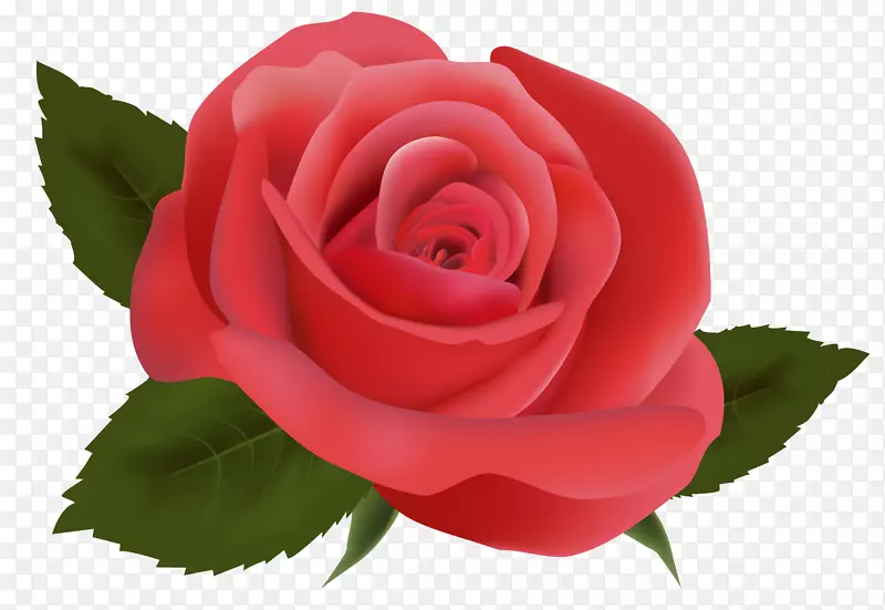 花卉设计-红玫瑰PNG形象剪贴画