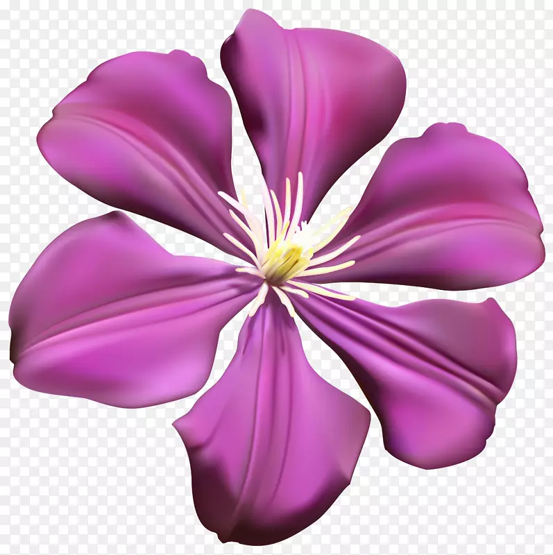 紫花-紫花透明PNG剪贴画图像
