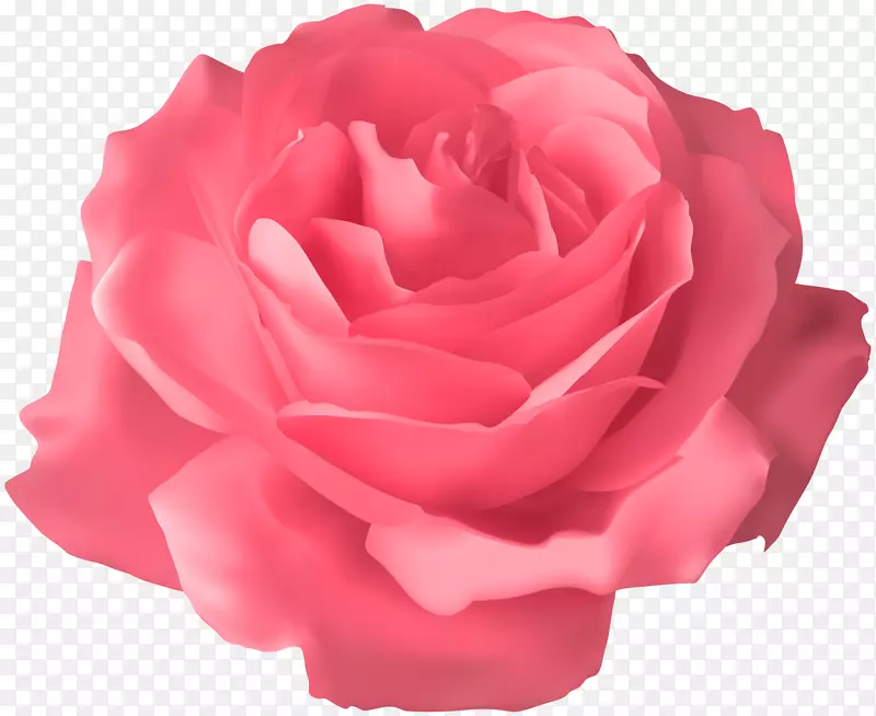 蓝色玫瑰剪贴画-软粉色玫瑰透明PNG剪贴画图片