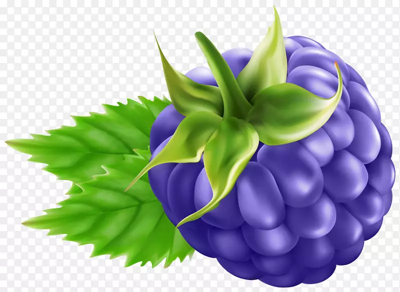 覆盆子葡萄黑莓剪贴画-黑莓透明PNG剪贴画