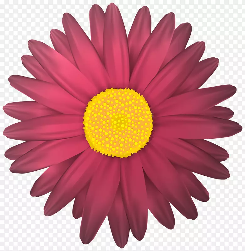 花卉剪贴画-花透明的PNG剪贴画图像